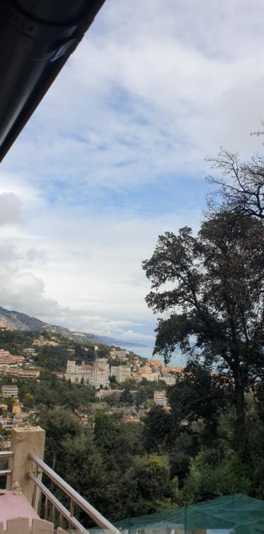 Mini Vue Menton